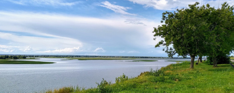 Краткая история Карамзиных и села Полибино