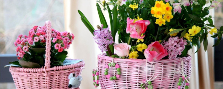 Корзины с цветами: изящное украшение вашего интерьера