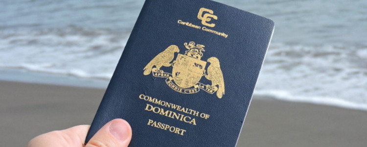 Как получить паспорт Доминиканы