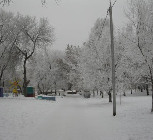 В Самару пришел мохнатый декабрь