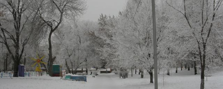 В Самару пришел мохнатый декабрь