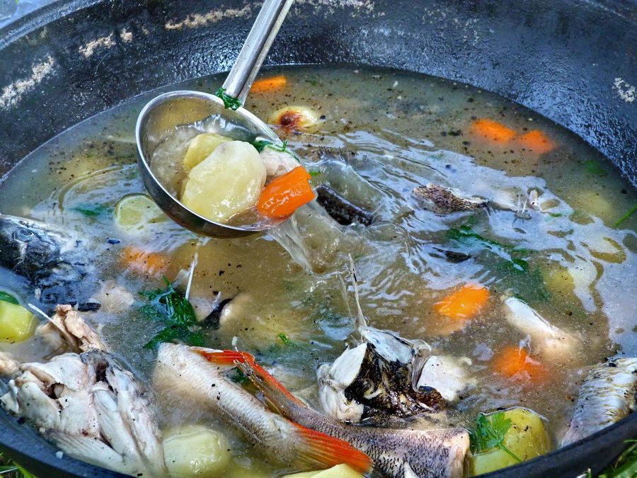 Рецепты приготовления ухи из рыбы